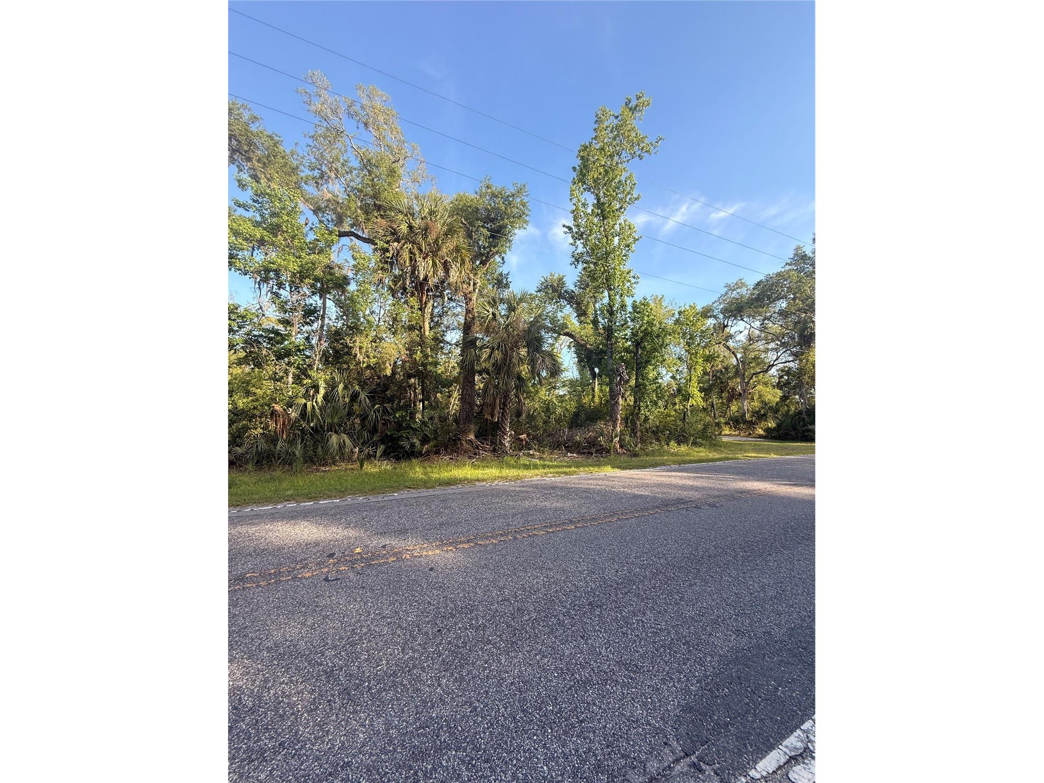 10274 W Ozello Trail Crystal River FL 34429 OM723579 image3