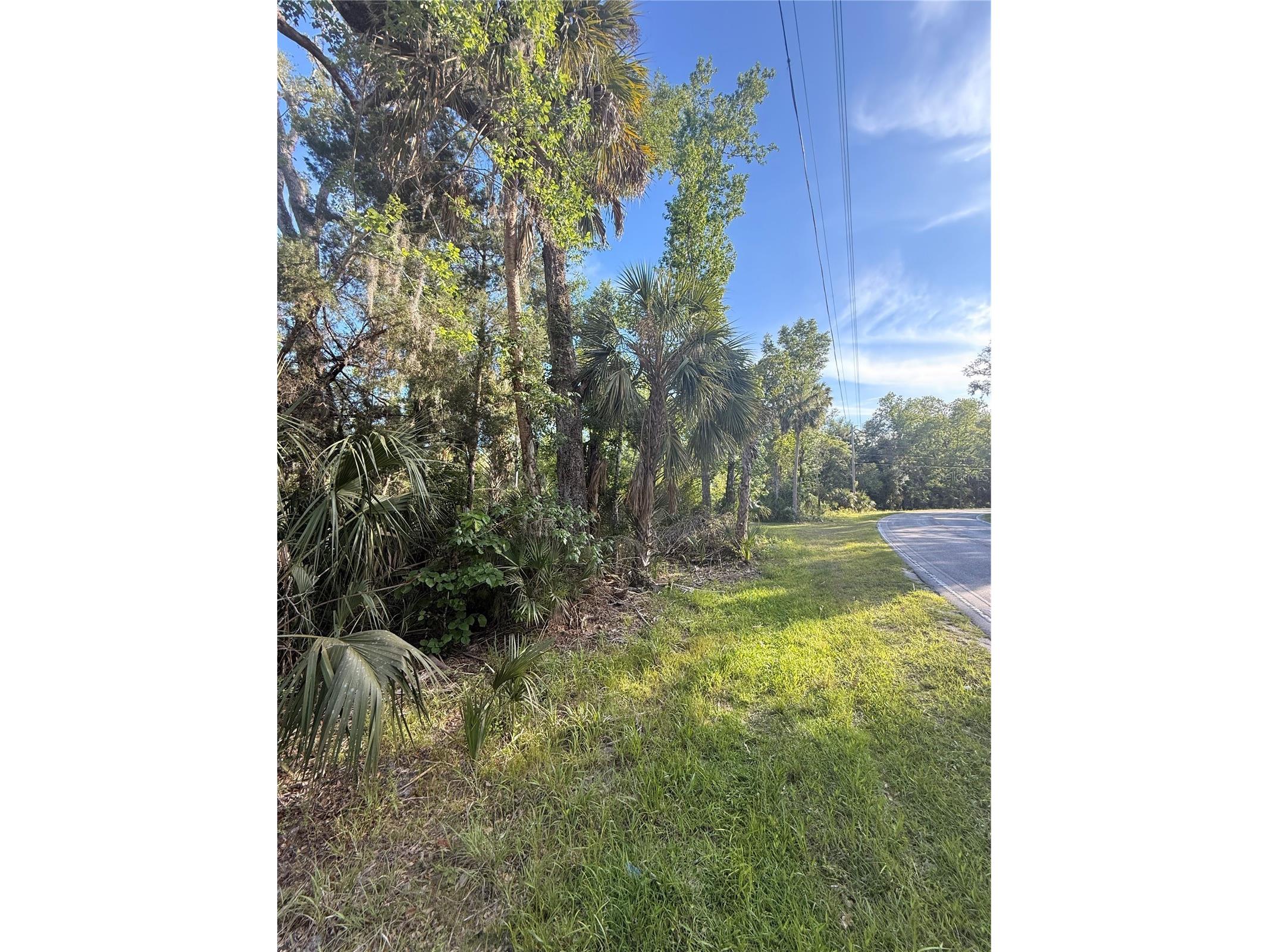 10274 W Ozello Trail Crystal River FL 34429 OM723579 image6