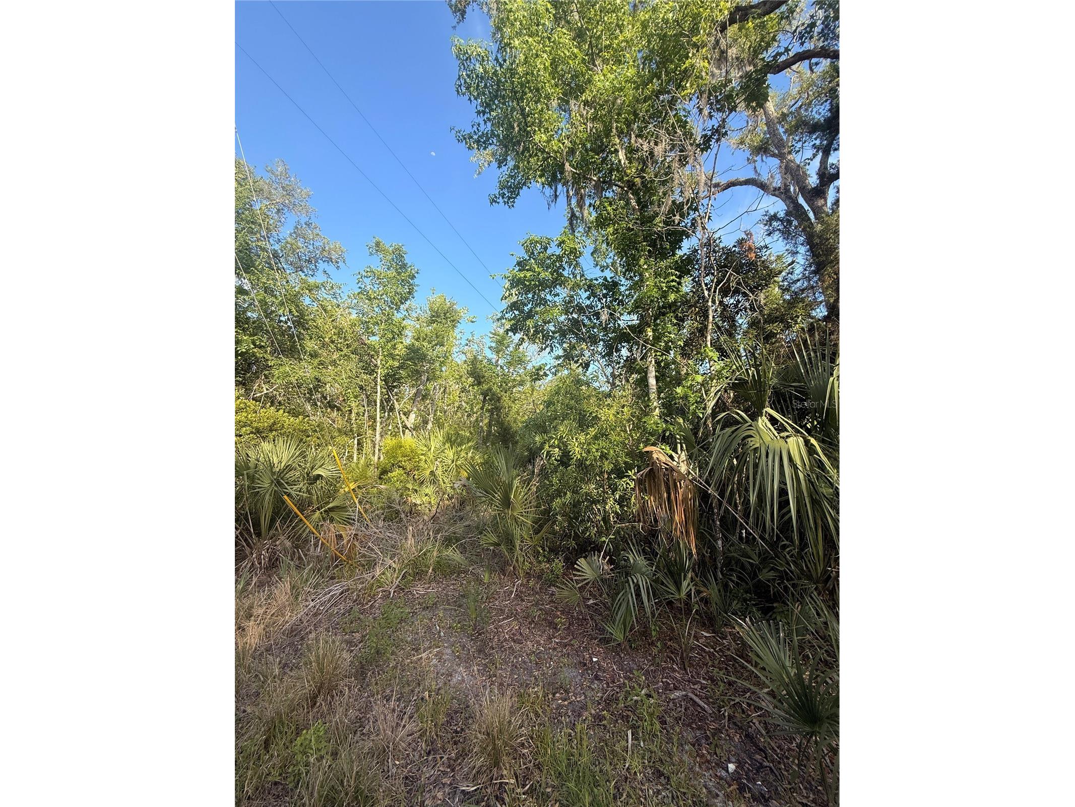 10274 W Ozello Trail Crystal River FL 34429 OM723579 image7