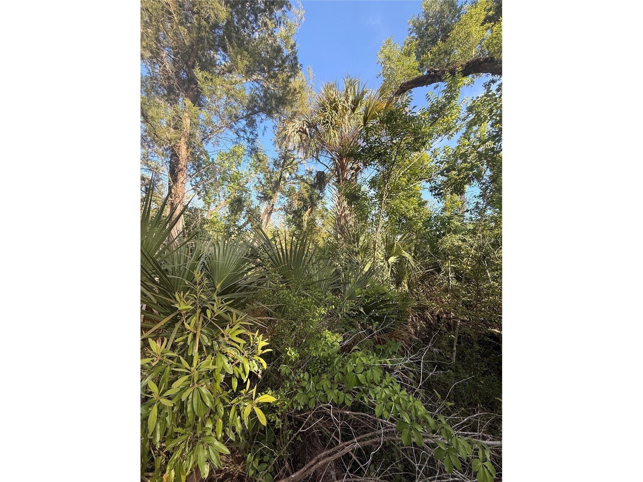 10274 W Ozello Trail Crystal River FL 34429 OM723579 image9