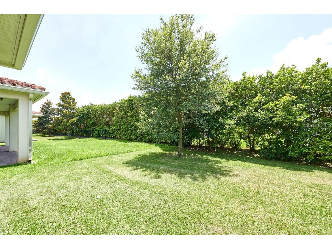 10275 Henbury Street Orlando FL 32832 O6320225 image71