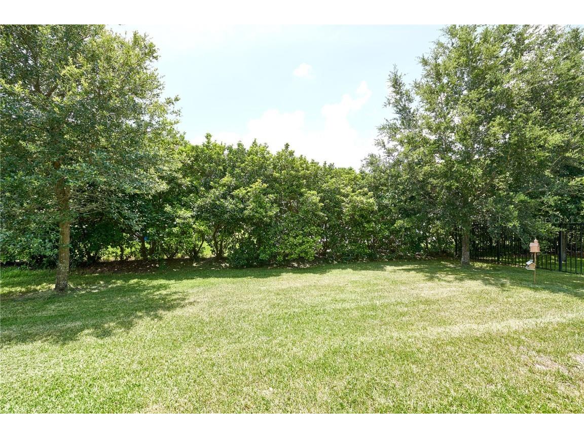 10275 Henbury Street Orlando FL 32832 O6320225 image73