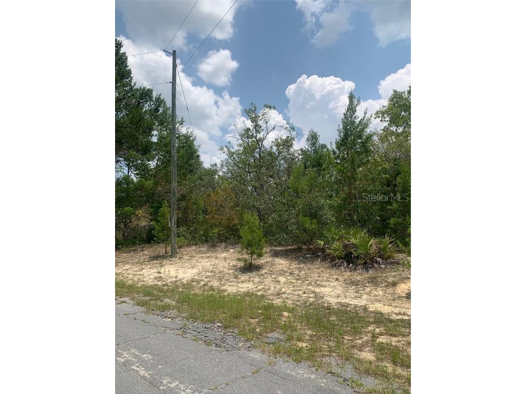 10276 & 10280 N Spaulding Drive Citrus Springs FL 34433 OM659753 image1