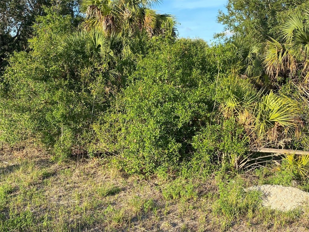 10277 Deerwood Avenue Englewood FL 34224 A4573505 image1