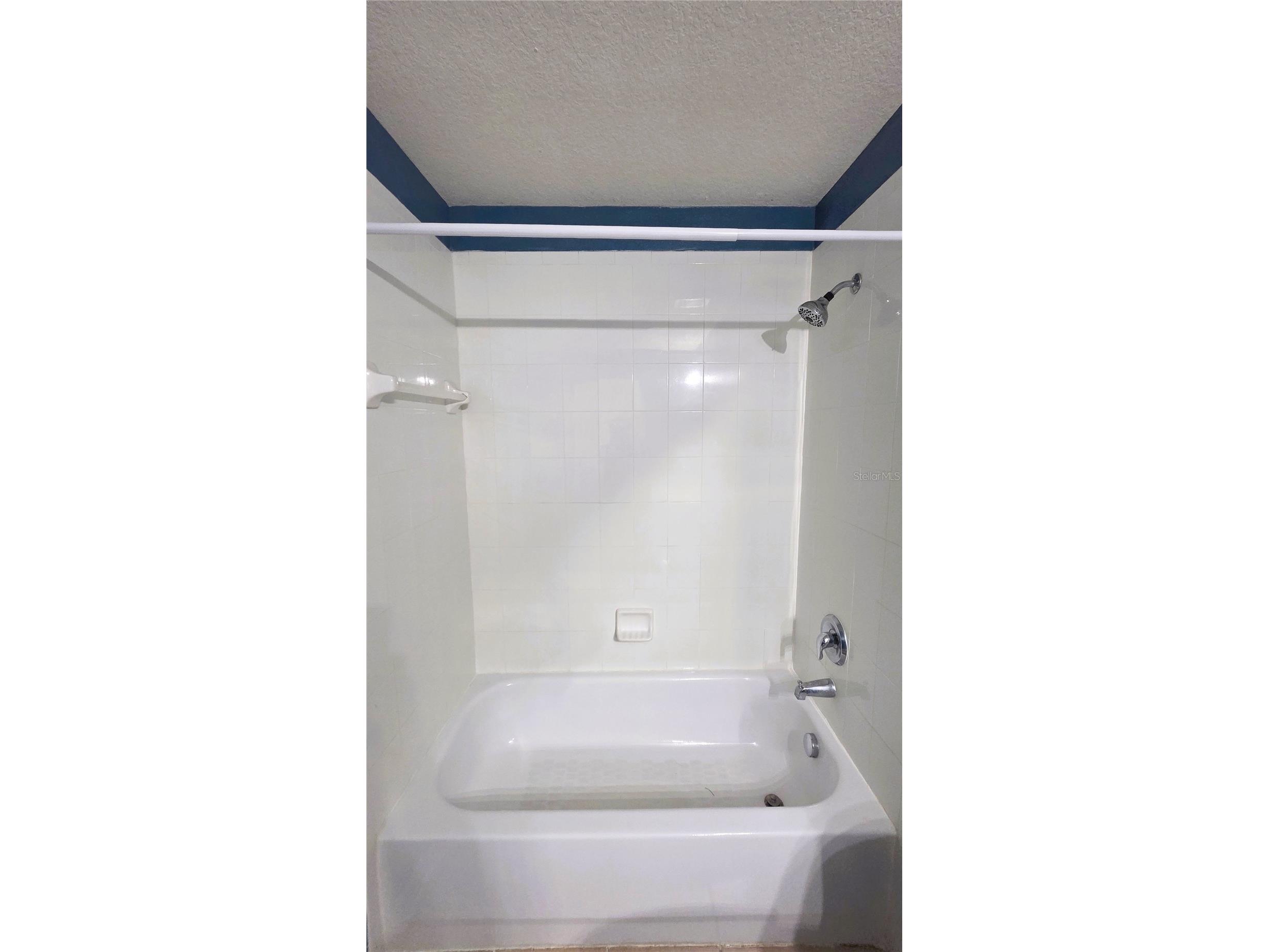 10279 Newminster Loop Ruskin FL 33573 TB8505081 image26