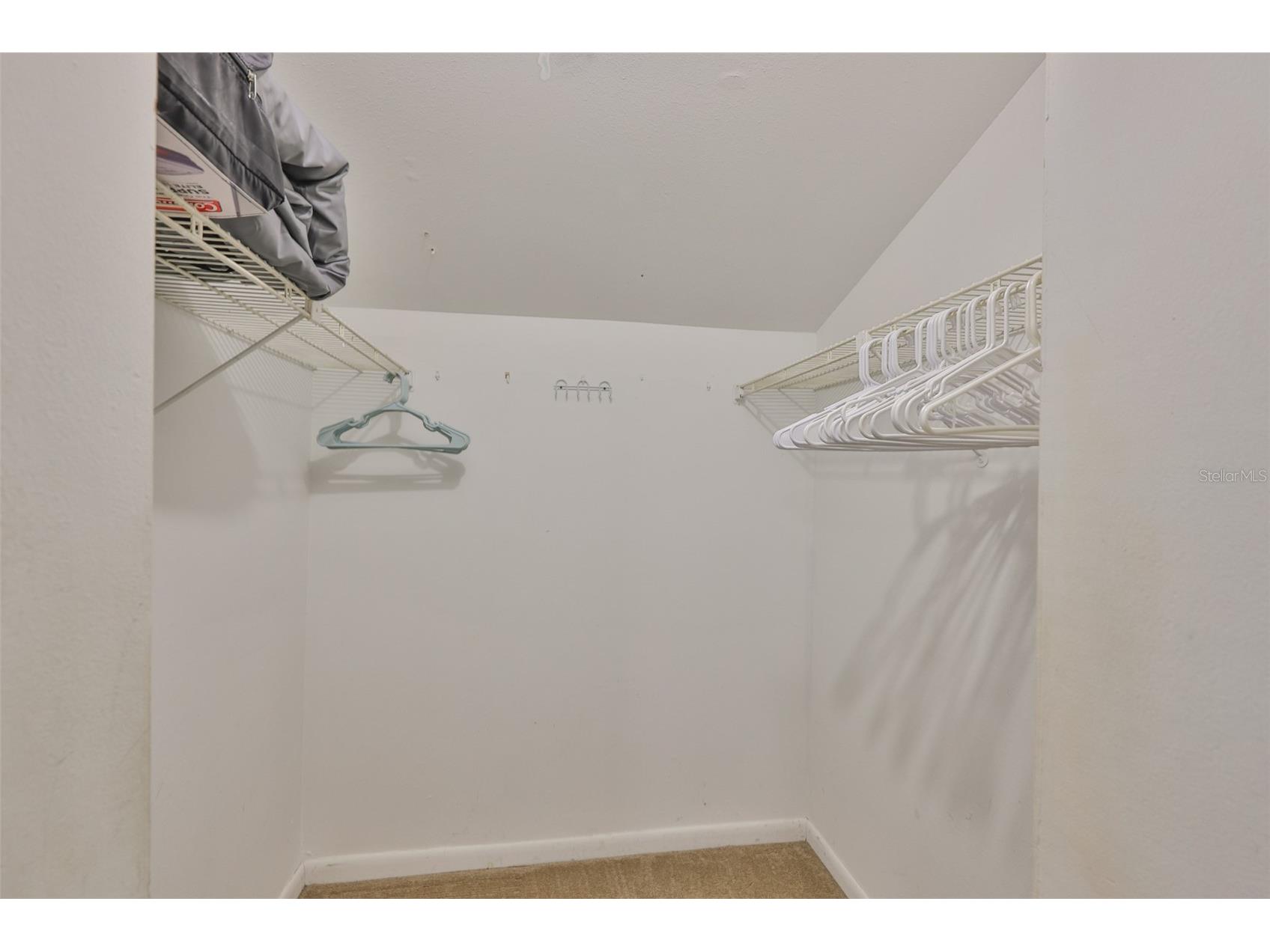 1028 Apollo Beach Boulevard #8 Apollo Beach FL 33572 TB8504109 image18