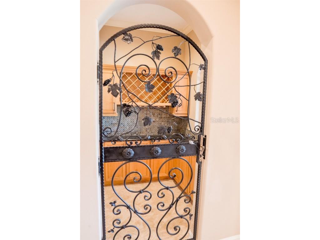 1028 Castle Pines Court Reunion FL 34747 O6354887 image7