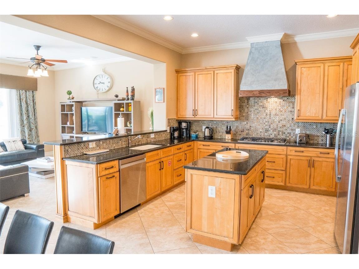 1028 Castle Pines Court Reunion FL 34747 O6354887 image9