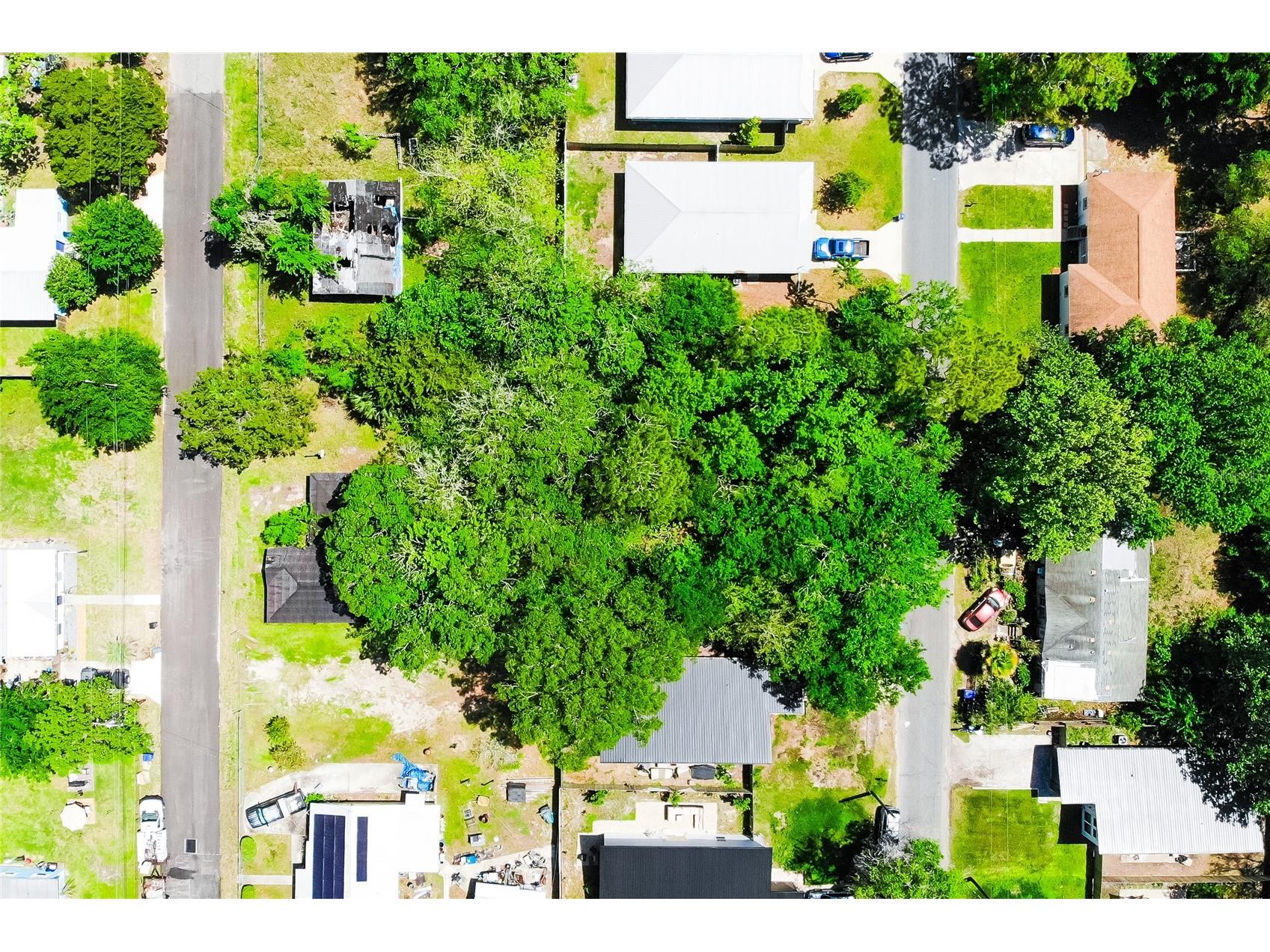 1028 Collier Boulevard Saint Augustine FL 32084 O6397112 image1