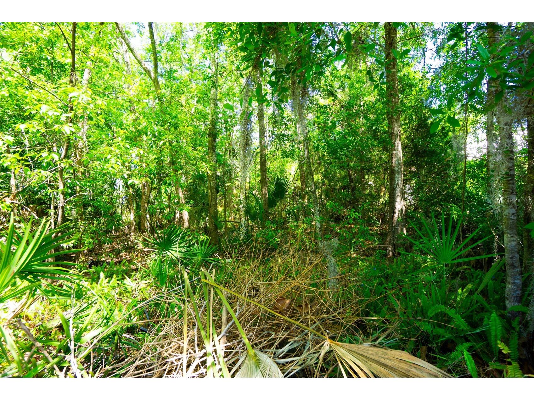 1028 Collier Boulevard Saint Augustine FL 32084 O6397112 image18