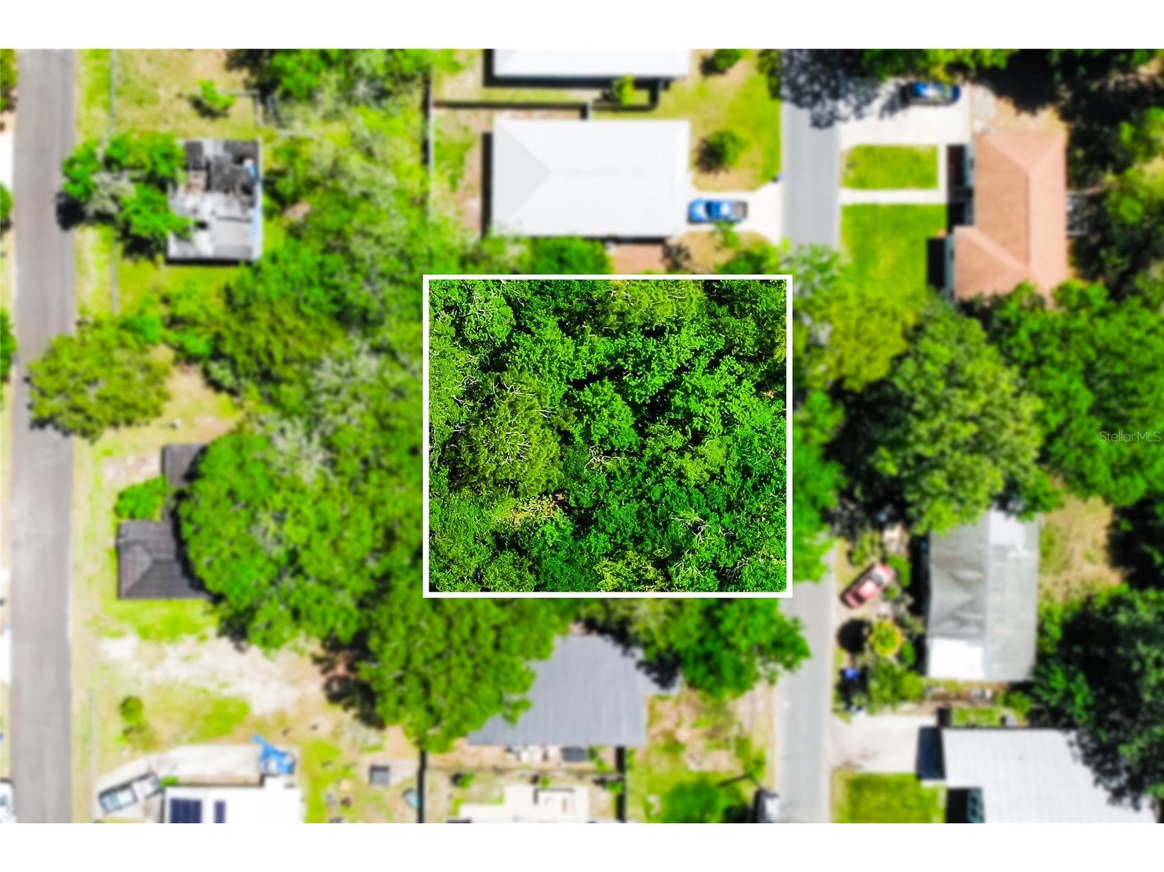 1028 Collier Boulevard Saint Augustine FL 32084 O6397112 image2