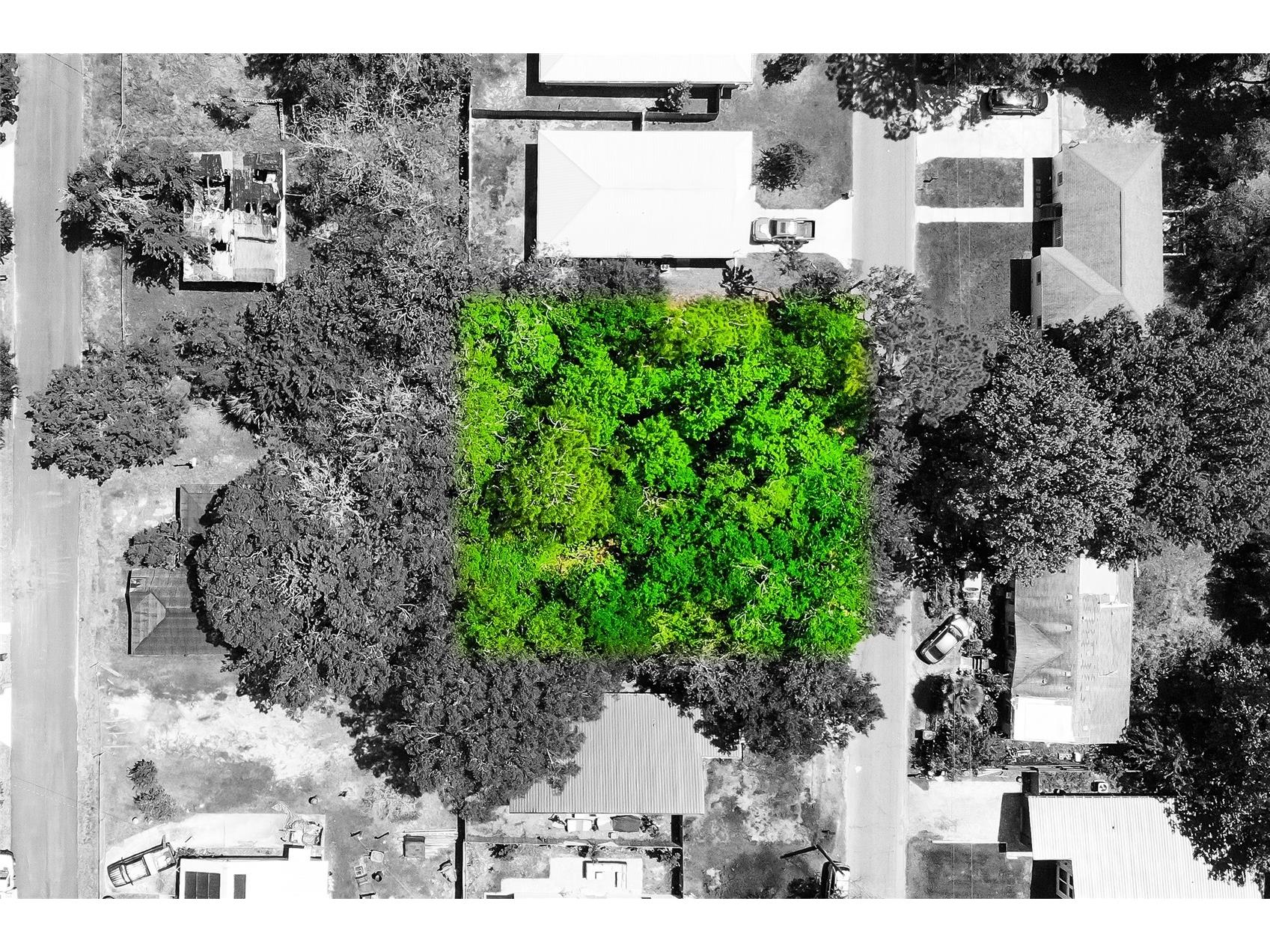 1028 Collier Boulevard Saint Augustine FL 32084 O6397112 image3