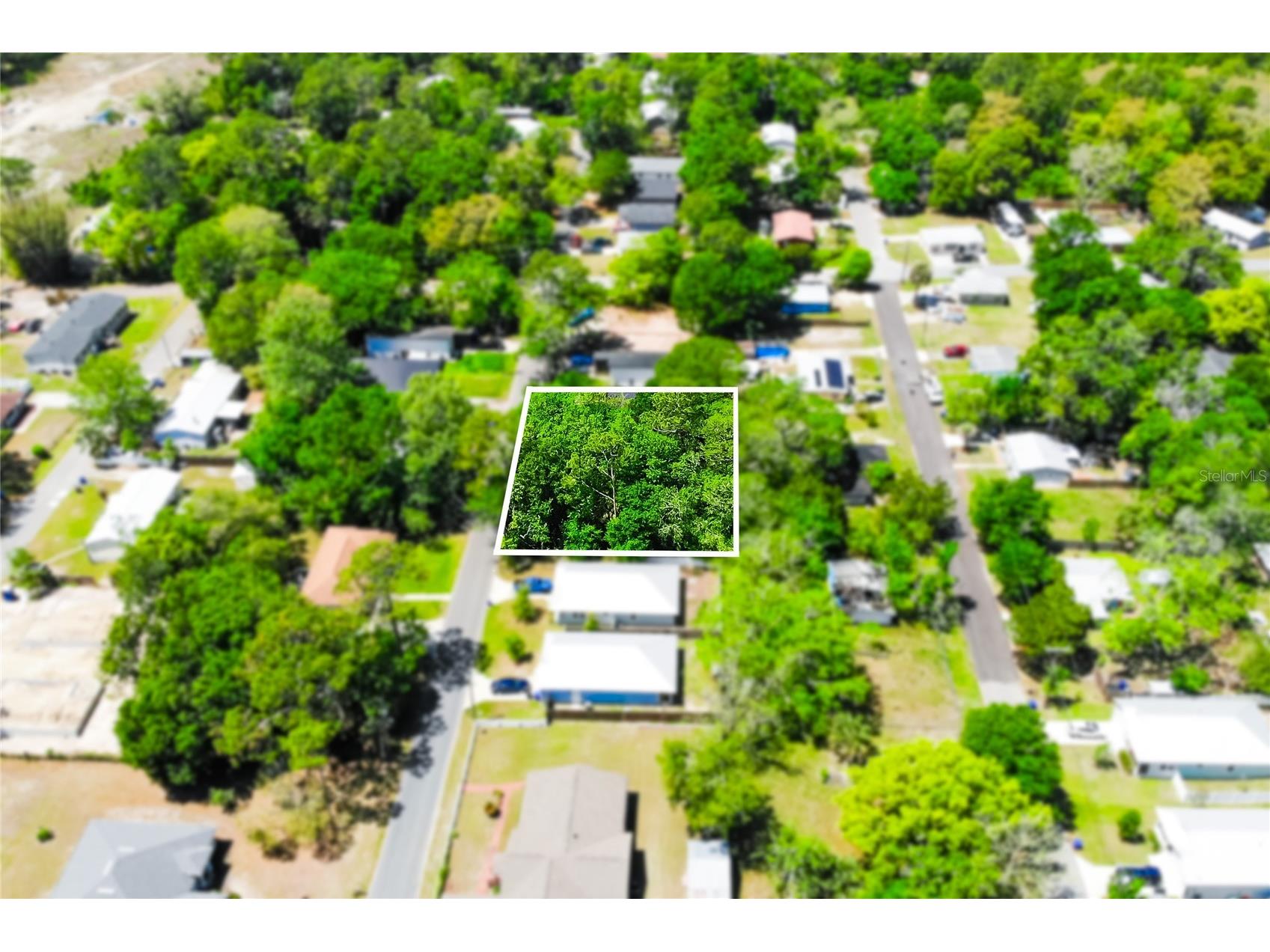 1028 Collier Boulevard Saint Augustine FL 32084 O6397112 image5