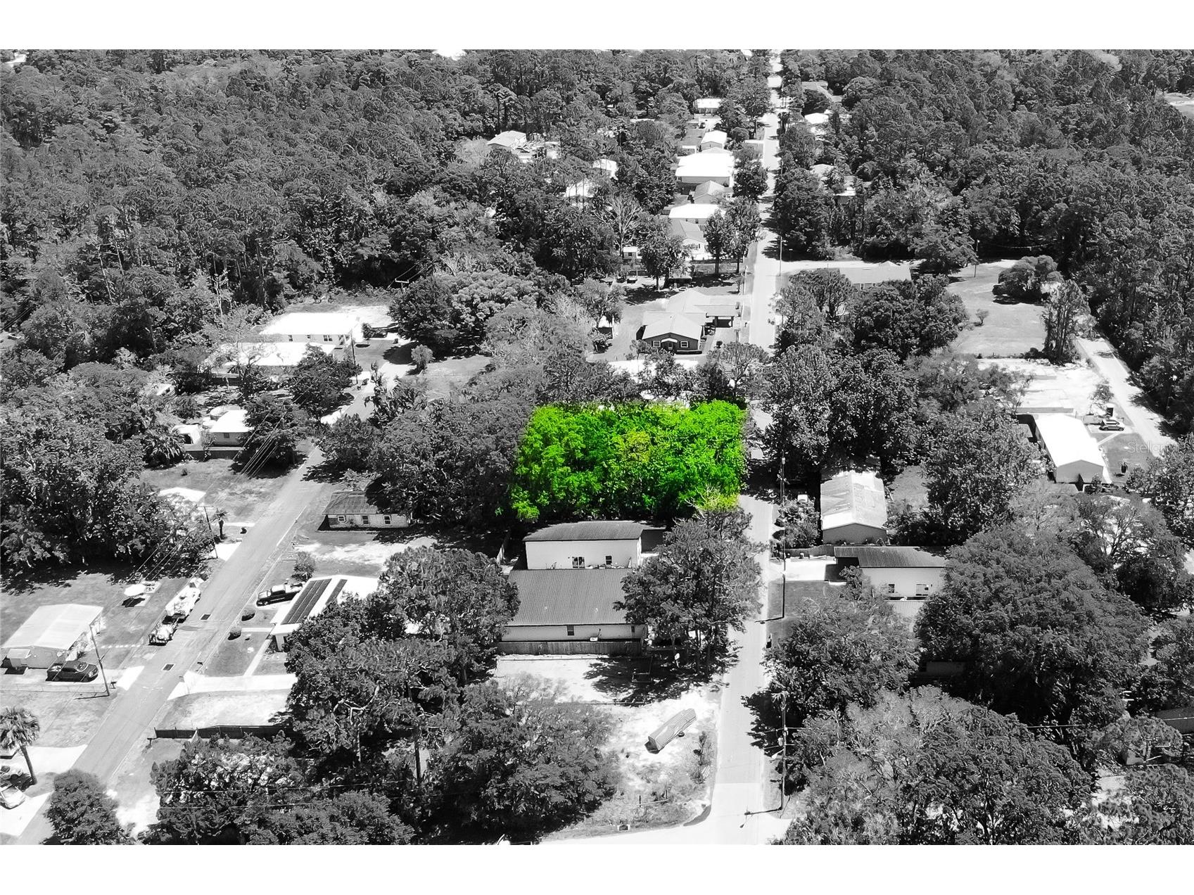 1028 Collier Boulevard Saint Augustine FL 32084 O6397112 image9