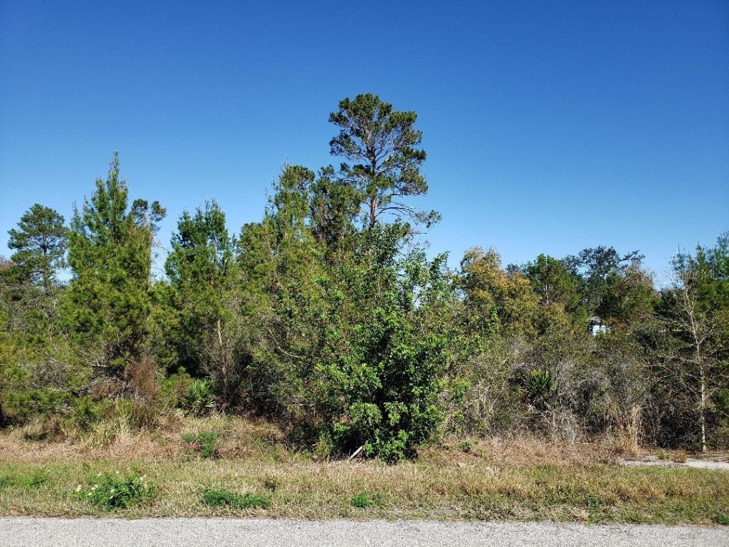 1028 Columbus Street Lake Placid FL 33852 T3419123 image1