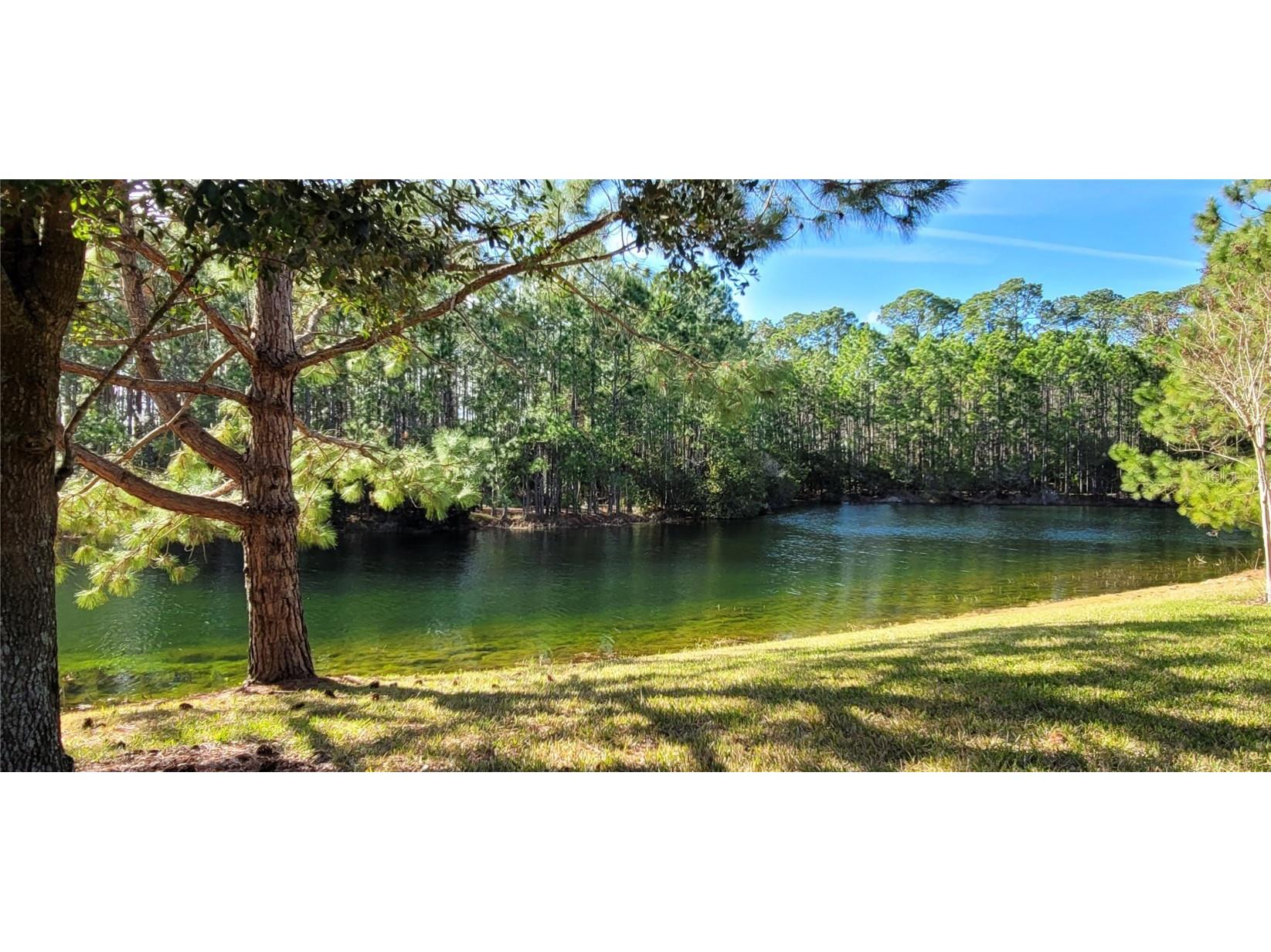 1028 Kilkenny Lane Ormond Beach FL 32174 FC314520 image7