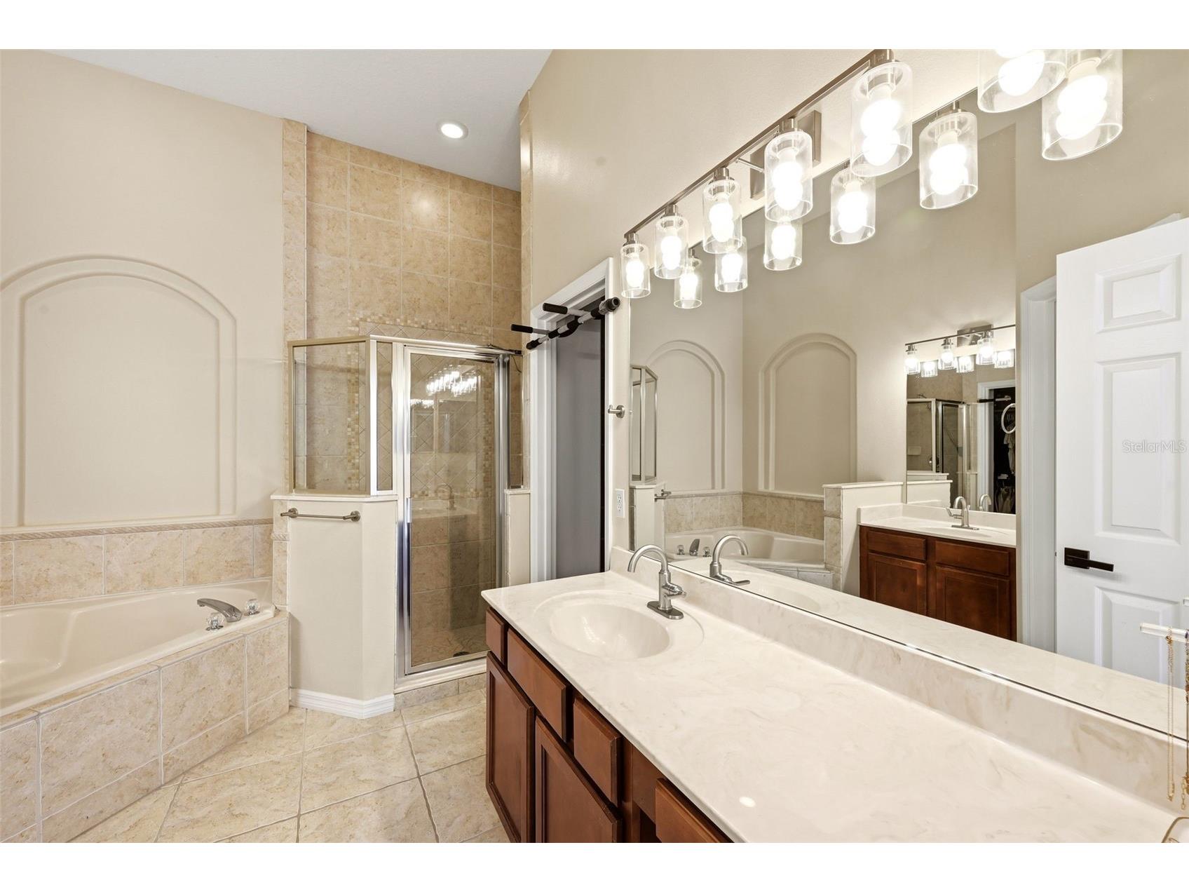 1028 Lascala Drive Windermere FL 34786 O6400649 image33