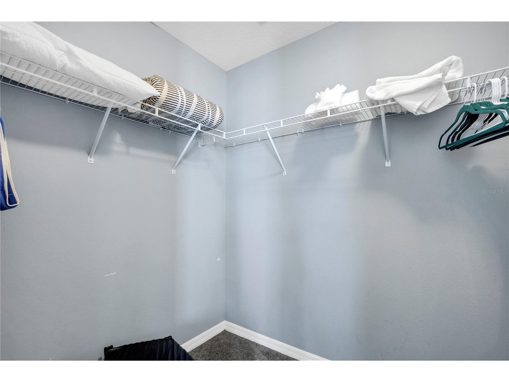 1028 Orange Cosmos Boulevard Davenport FL 33837 P4938091 image44