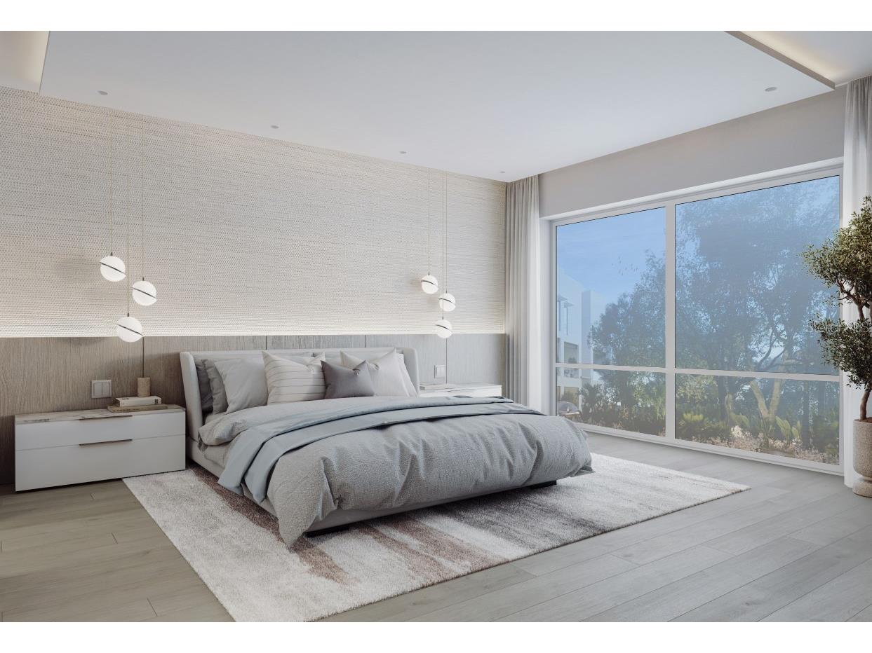 1028 Sunset Point Road #R6 Clearwater FL 33755 TB8412209 image6