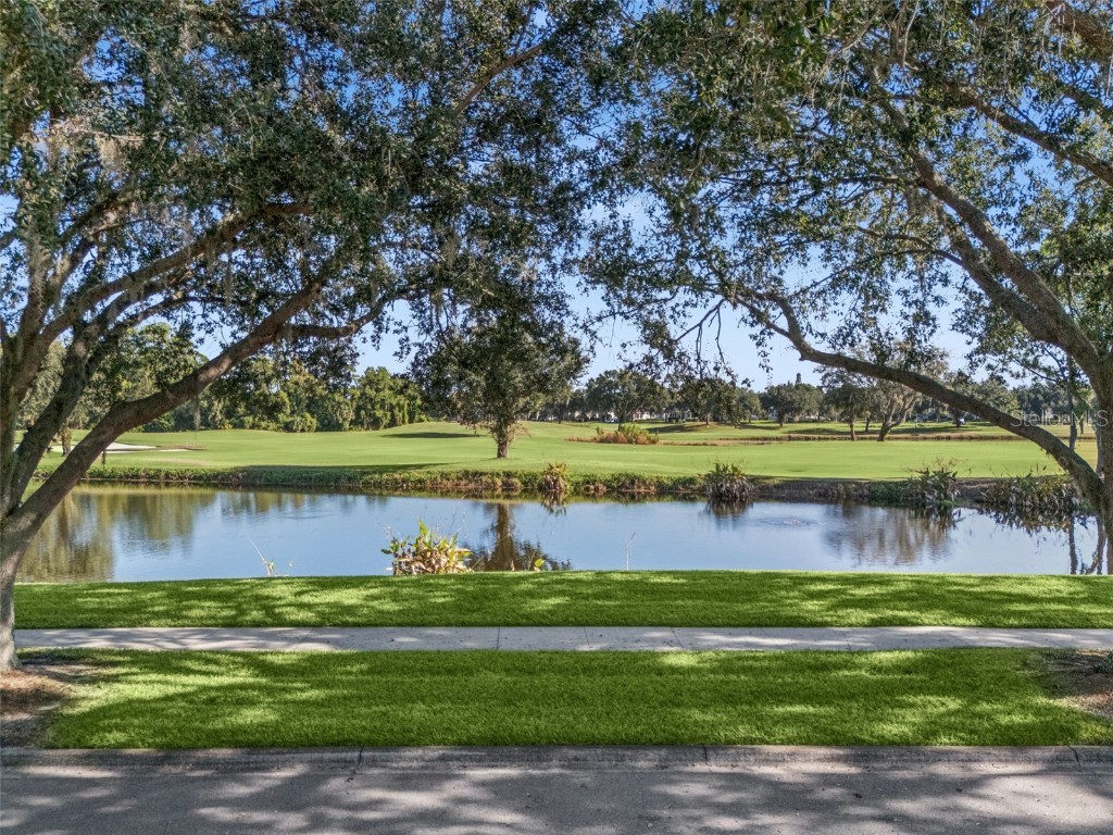 1028 Waterside Drive Celebration FL 34747 O6356564 image38