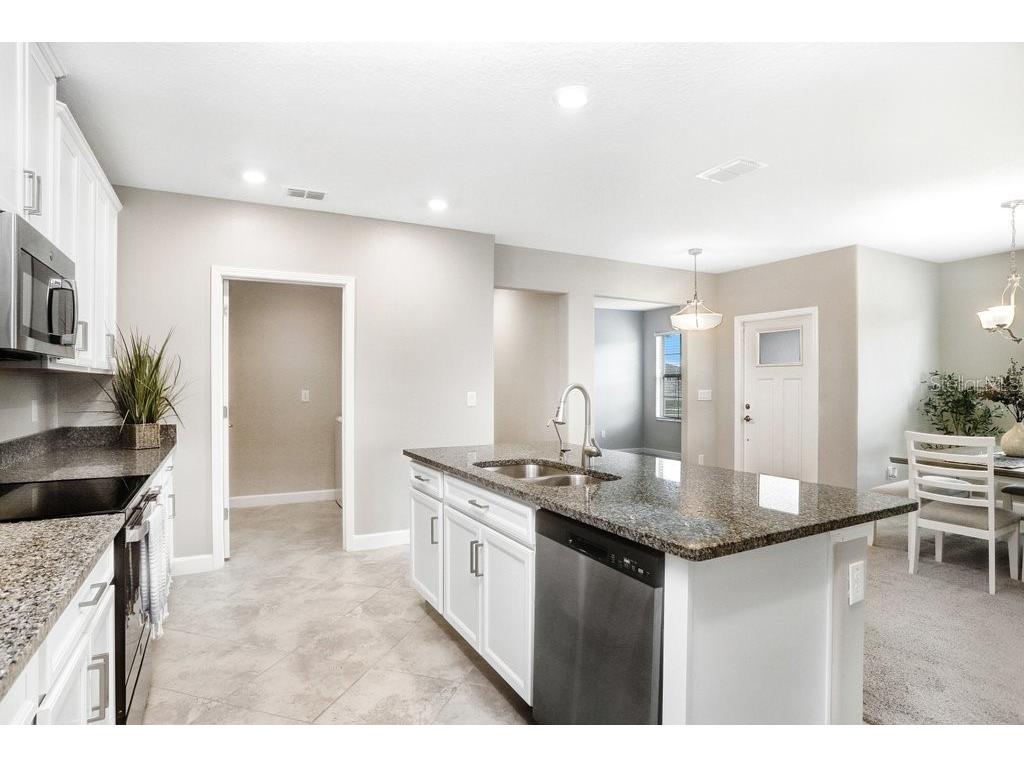 10282 Echo Dock Loop San Antonio FL 33576 TB8459995 image25