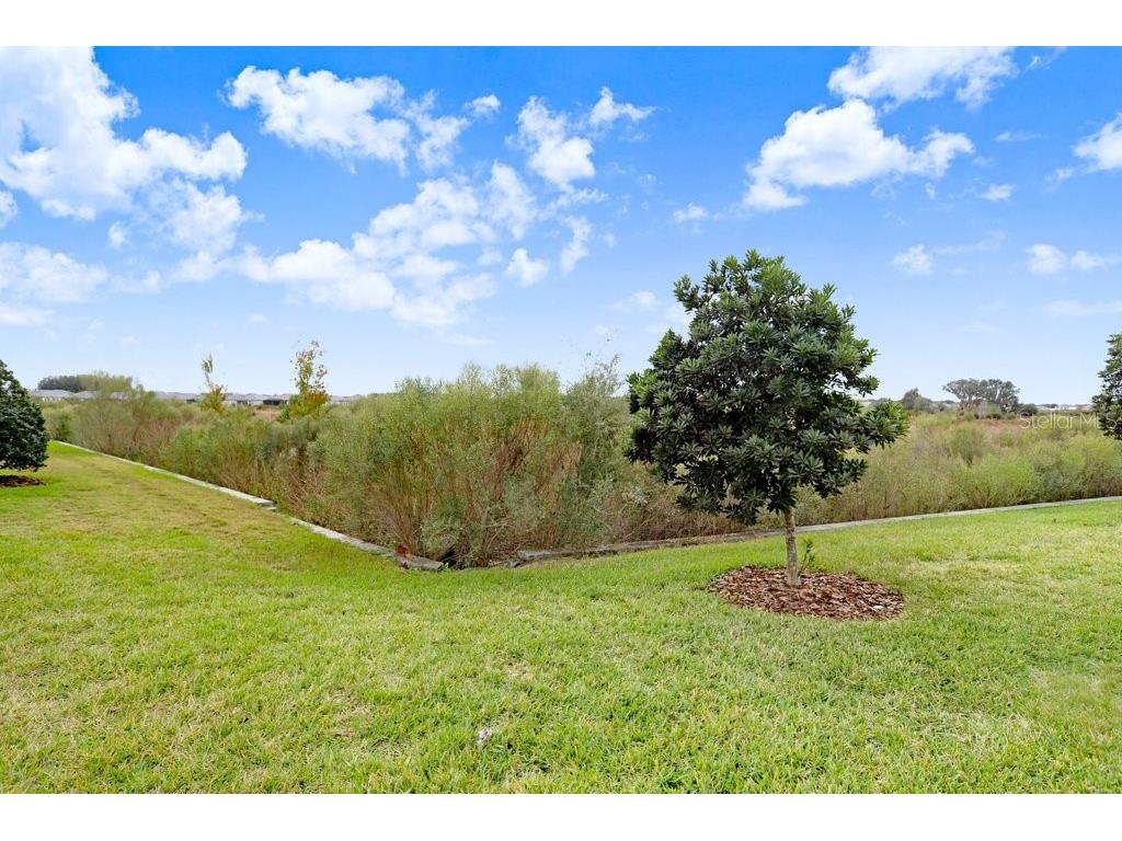 10282 Echo Dock Loop San Antonio FL 33576 TB8459995 image38