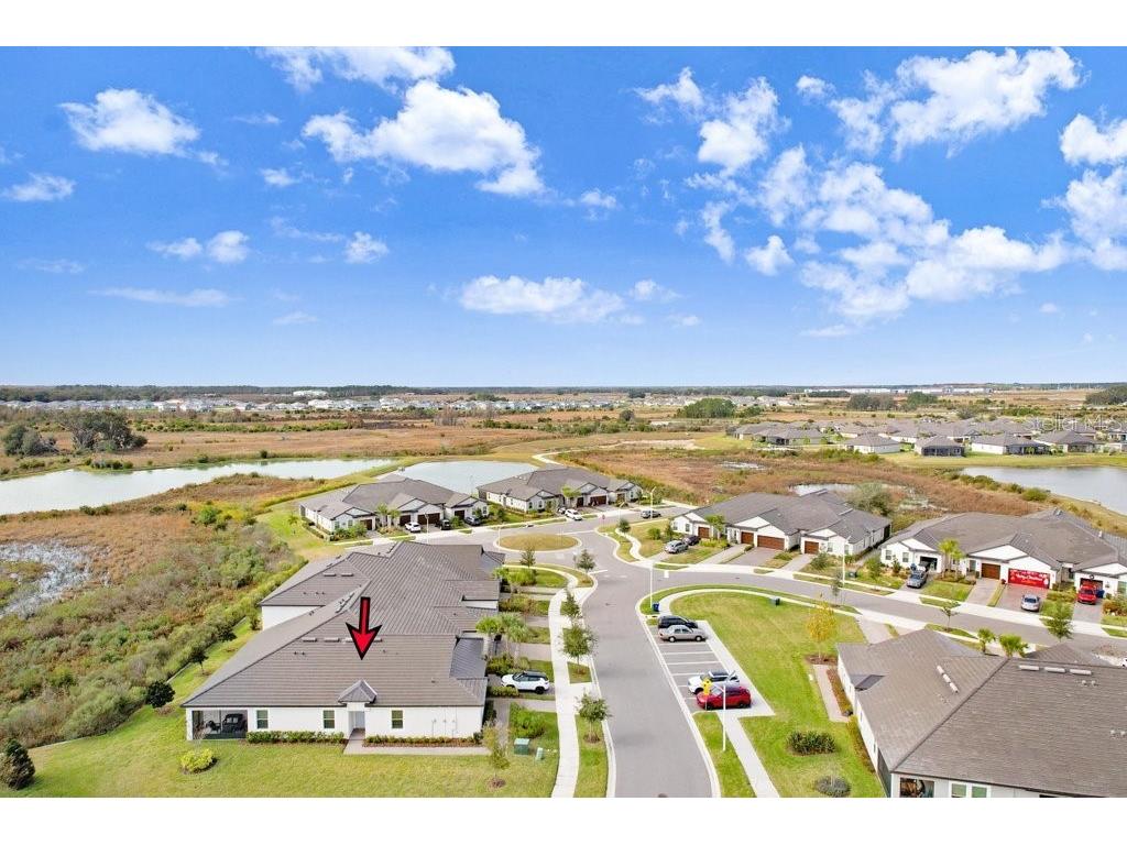 10282 Echo Dock Loop San Antonio FL 33576 TB8459995 image5