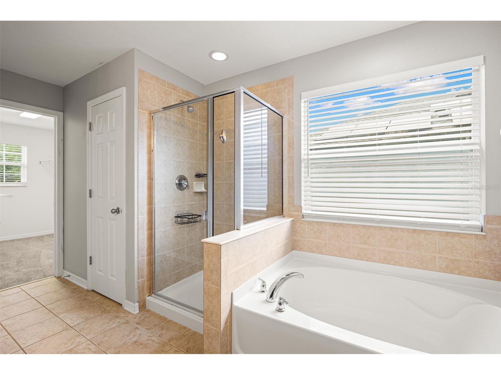 10284 Newminster Loop Ruskin FL 33573 TB8516942 image38