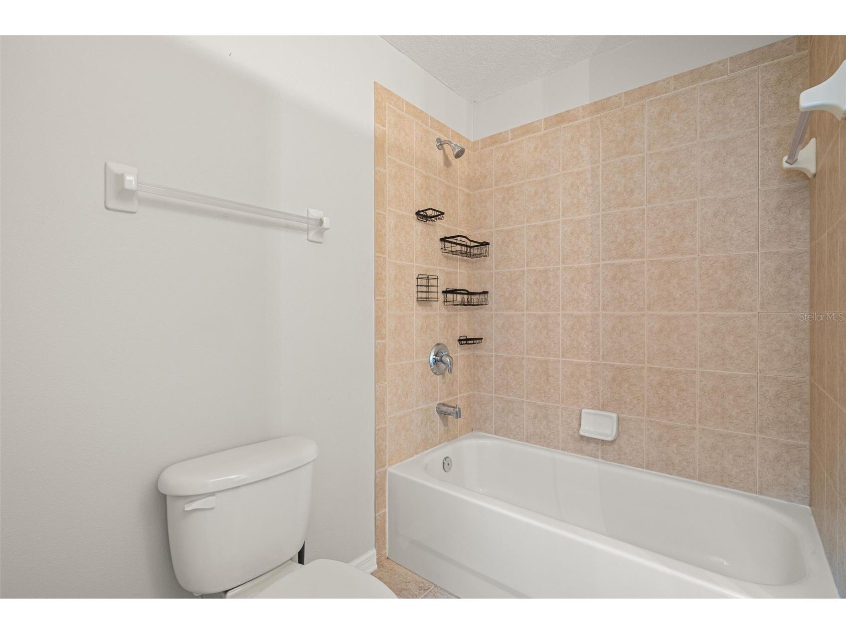 10284 Newminster Loop Ruskin FL 33573 TB8516942 image44