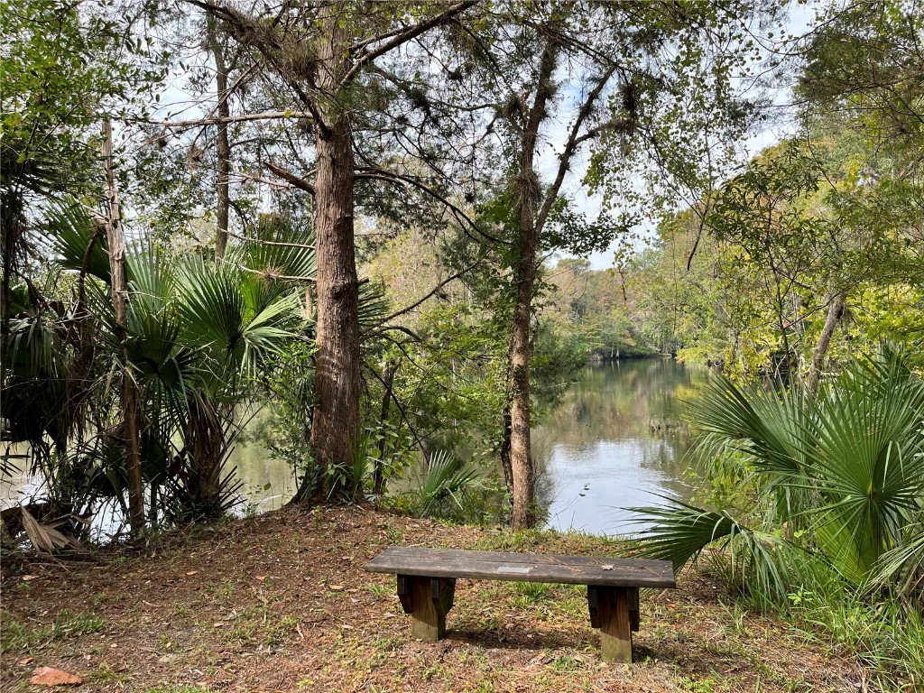 10285 NE 28th Loop Silver Springs FL 34488 - OCKLAWAHA RIVER O6277698 image52