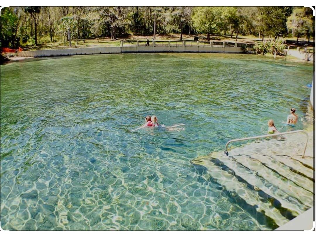 10285 NE 28th Loop Silver Springs FL 34488 - OCKLAWAHA RIVER O6277698 image57