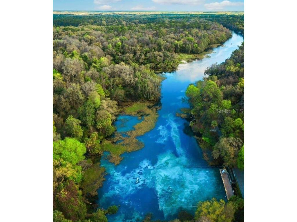 10285 NE 28th Loop Silver Springs FL 34488 - OCKLAWAHA RIVER O6277698 image60