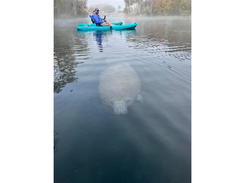 10285 NE 28th Loop Silver Springs FL 34488 - OCKLAWAHA RIVER O6277698 image65