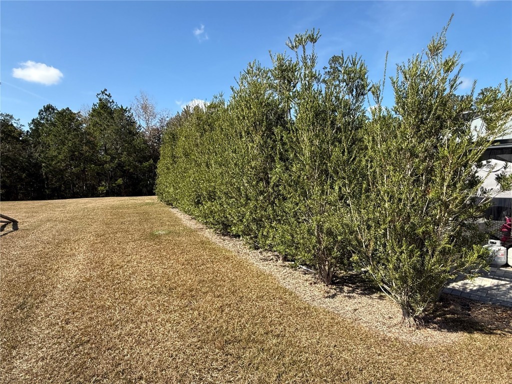 10285 NE 28th Loop Silver Springs FL 34488 - OCKLAWAHA RIVER O6277698 image7