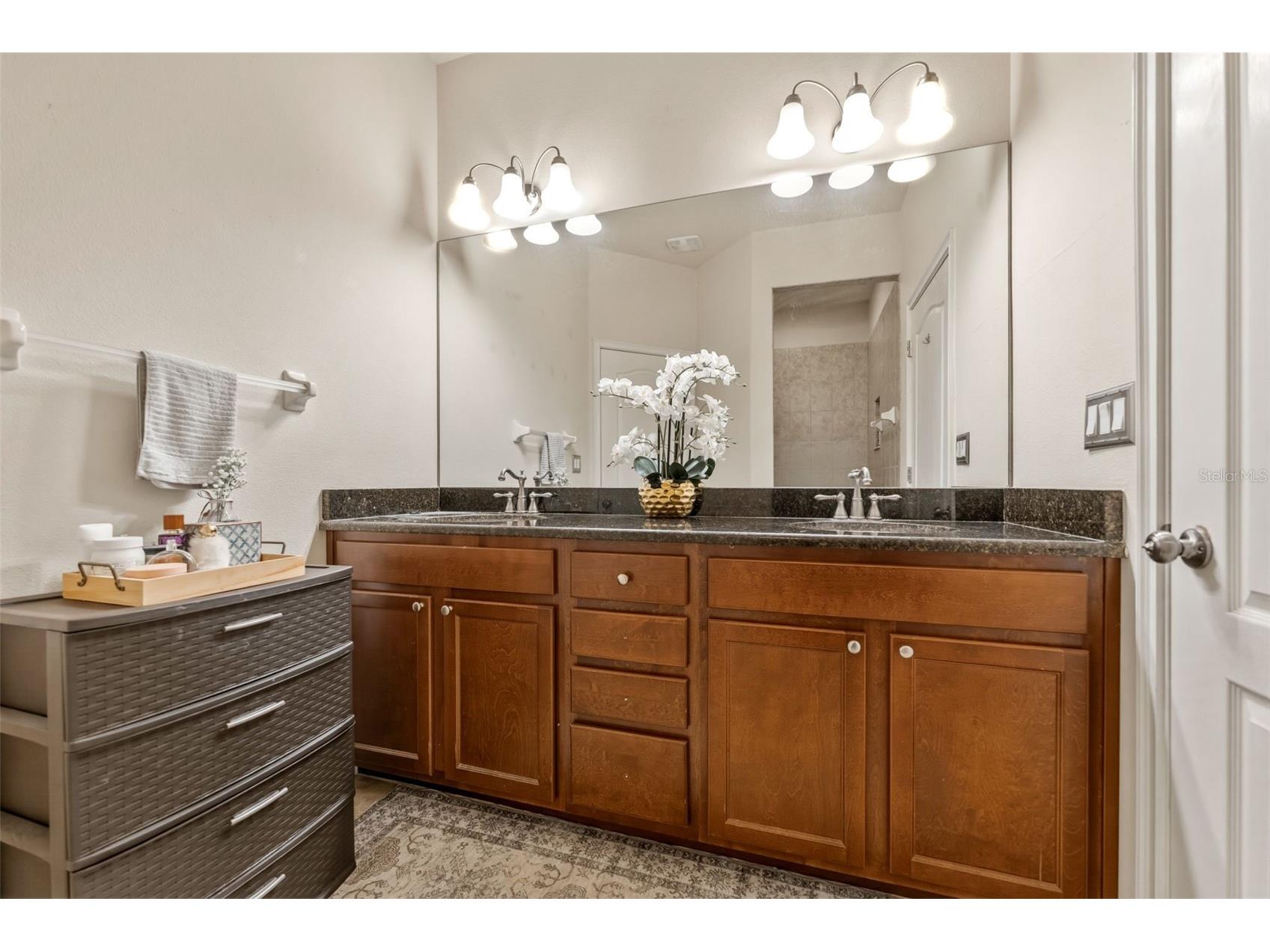 10285 Villa Palazzo Court Tampa FL 33615 TB8512580 image19