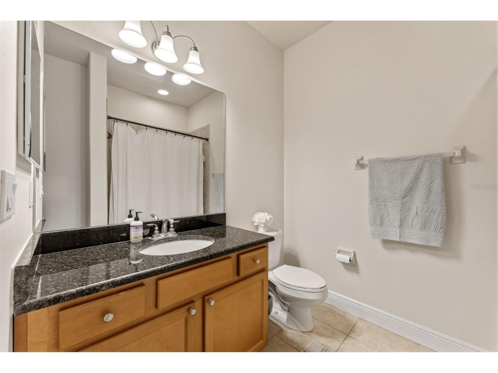 10285 Villa Palazzo Court Tampa FL 33615 TB8512580 image25