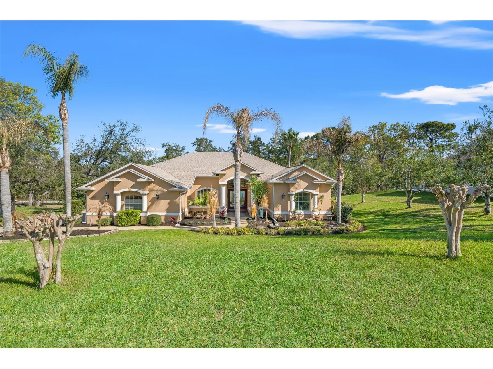 10288 Ridge Top Loop Weeki Wachee FL 34613 TB8485302 image1