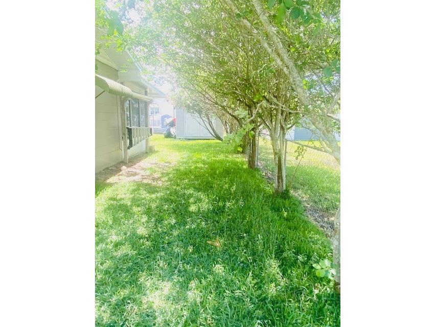 10288 W Twin River Lane Homosassa FL 34448 TB8409509 image63