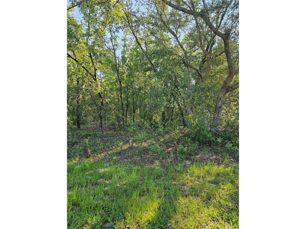 10289 N Harbor Way Citrus Springs FL 34434 O6121765 image1