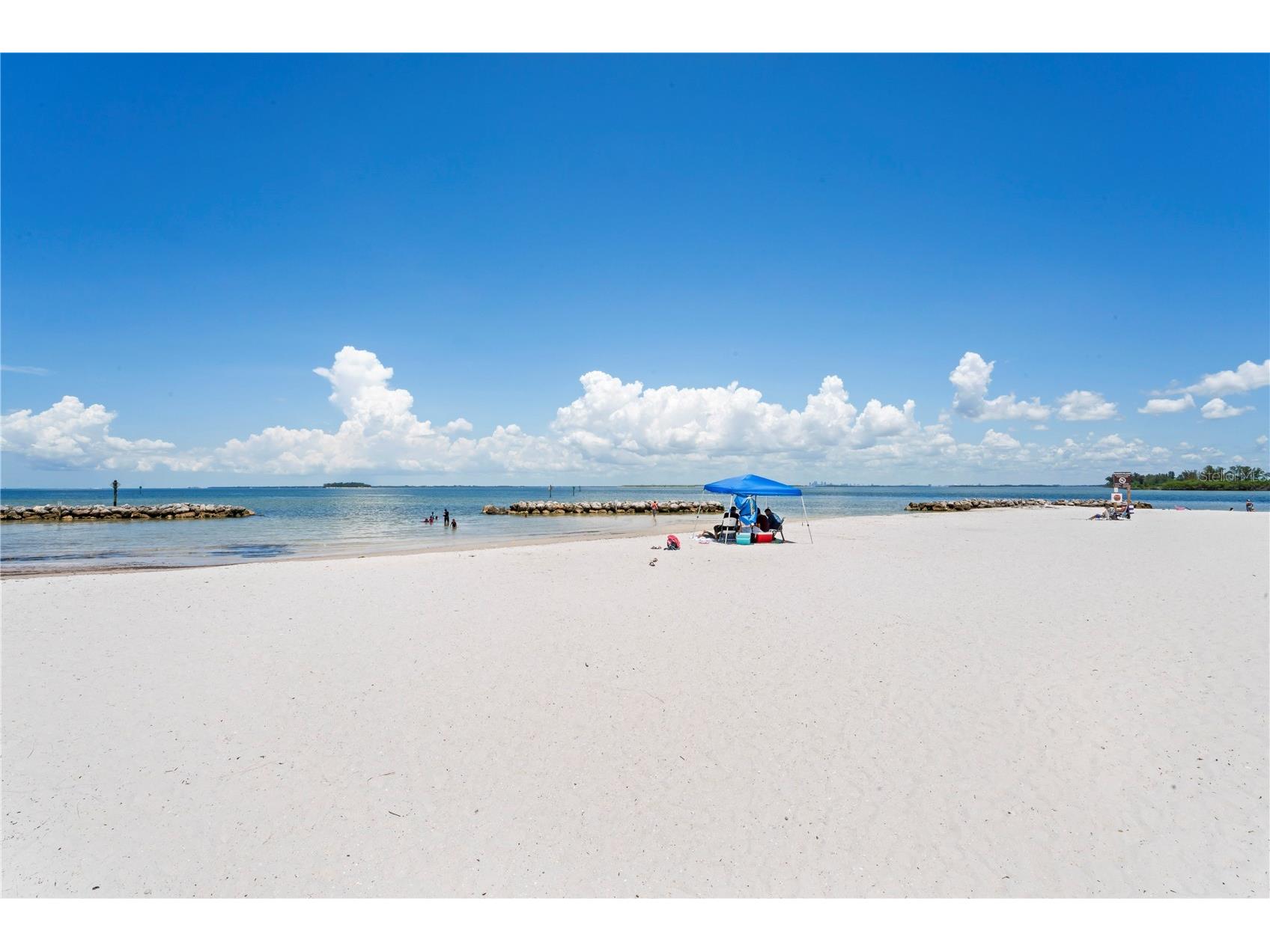 1029 Bal Harbour Drive Apollo Beach FL 33572 - TAMPA BAY TB8487743 image86