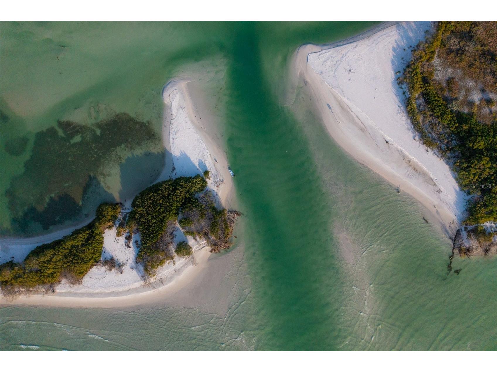 1029 Bal Harbour Drive Apollo Beach FL 33572 - TAMPA BAY TB8487743 image89