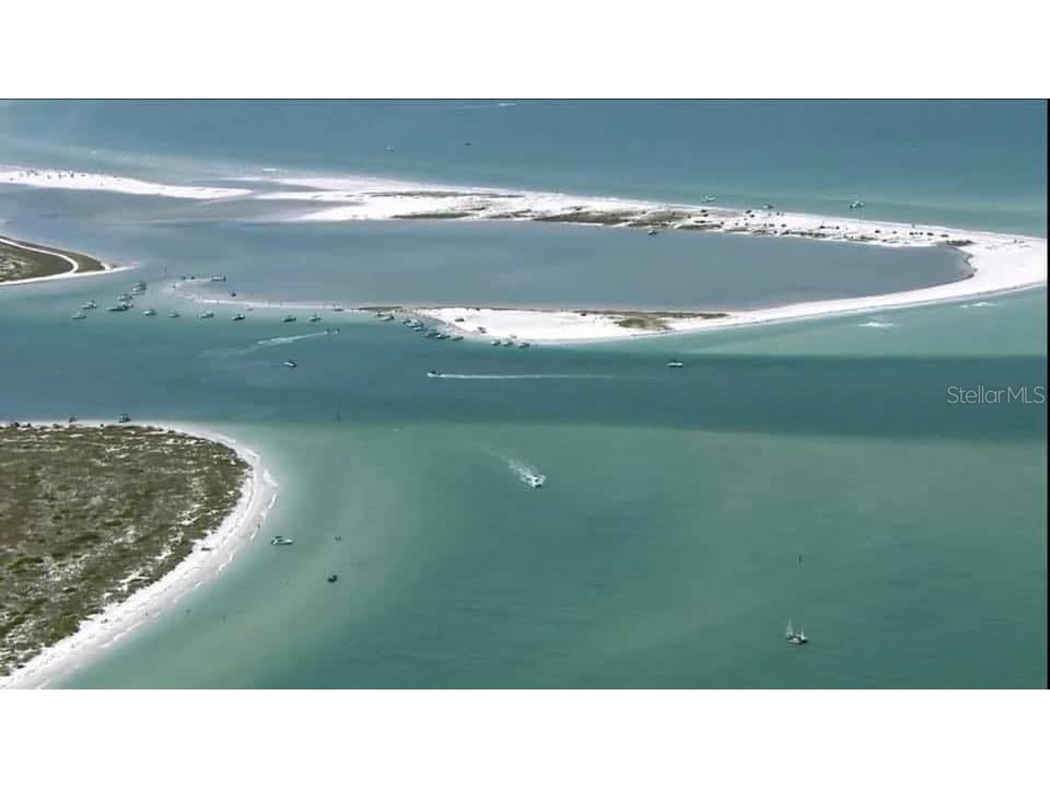 1029 Bal Harbour Drive Apollo Beach FL 33572 - TAMPA BAY TB8487743 image90