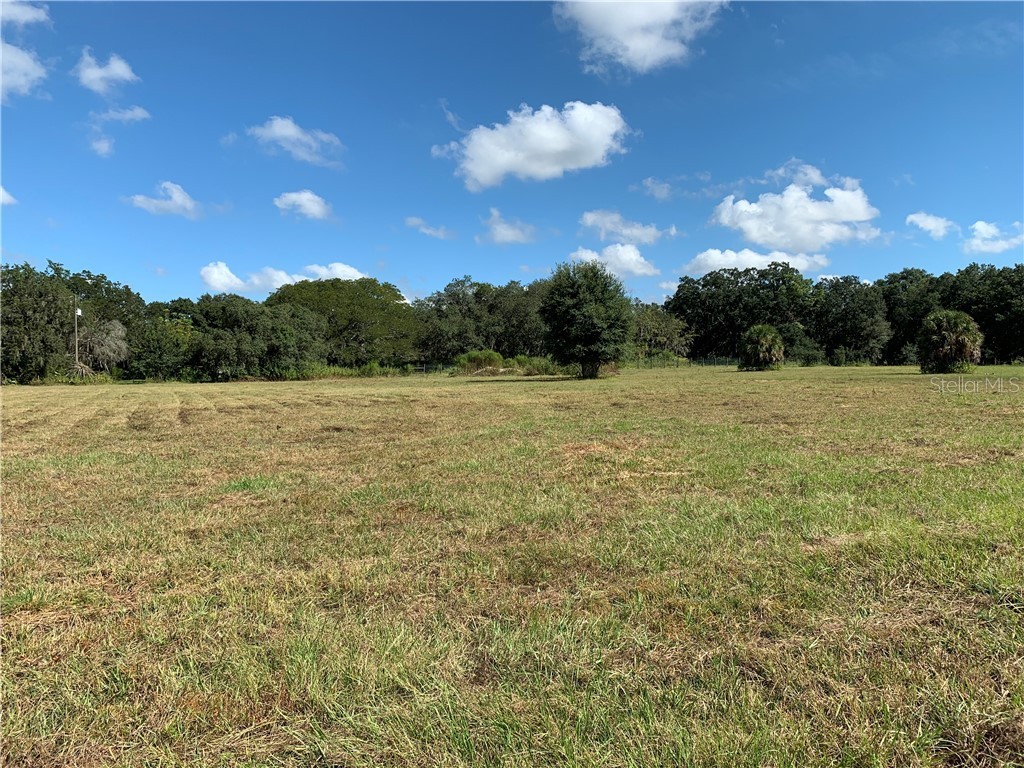 1029 Knowles Road Brandon FL 33511 T3203382 image1