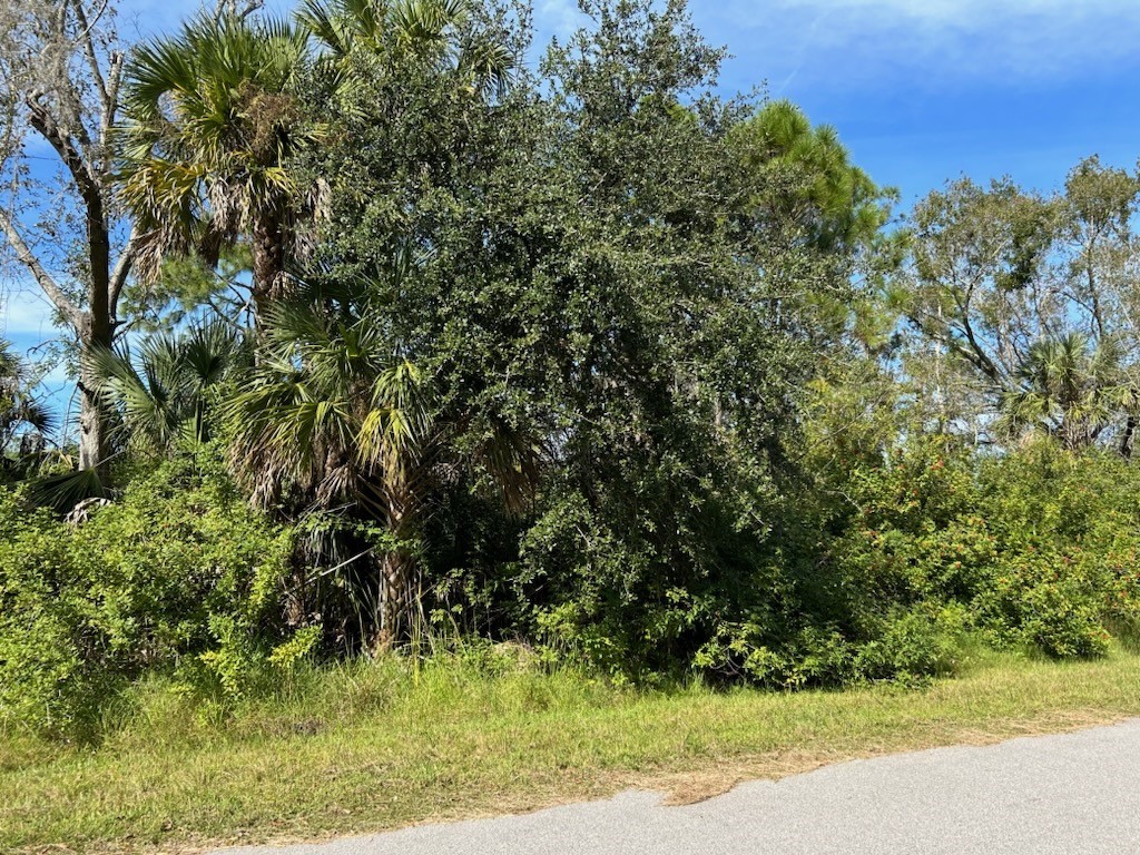 1029 Longacre Terrace Port Charlotte FL 33953 NS1080088 image1