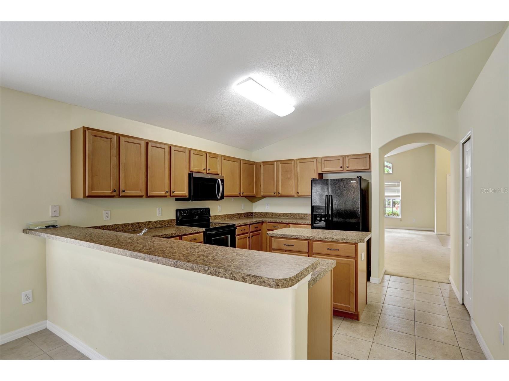 1029 Orange Cosmos Boulevard Davenport FL 33837 O6398664 image7