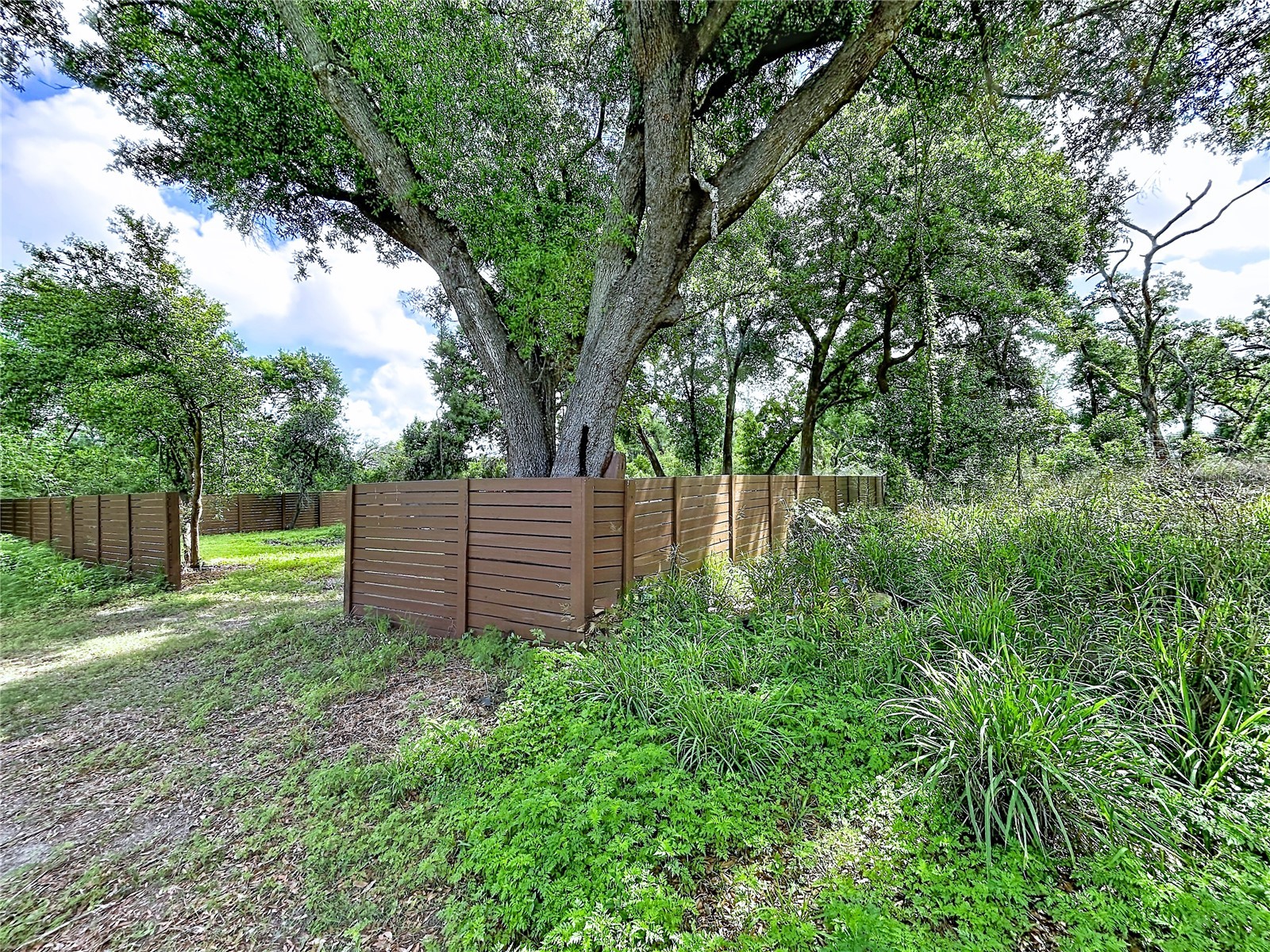 1029 Robson Avenue Seffner FL 33584 TB8497814 image1