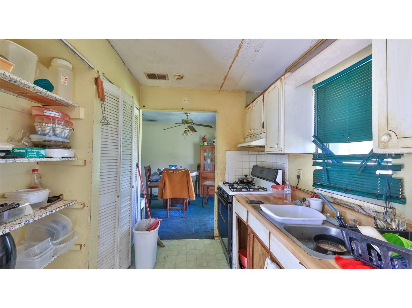 1029 S Gertrude Court Daytona Beach FL 32117 V4944130 image7