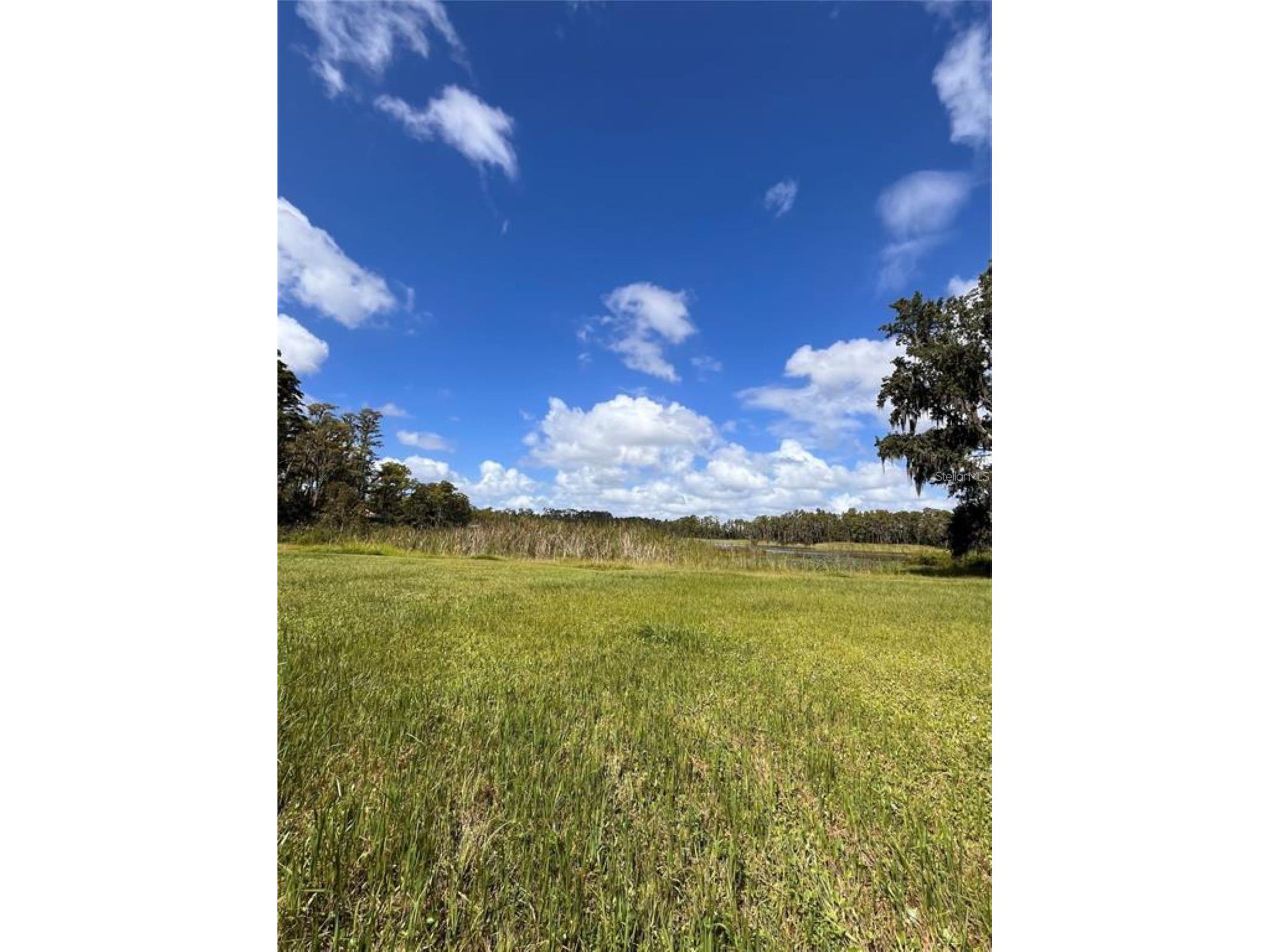 1029 Van Dyke Road Lutz FL 33548 - LAKE REINHEIMER TB8460037 image6