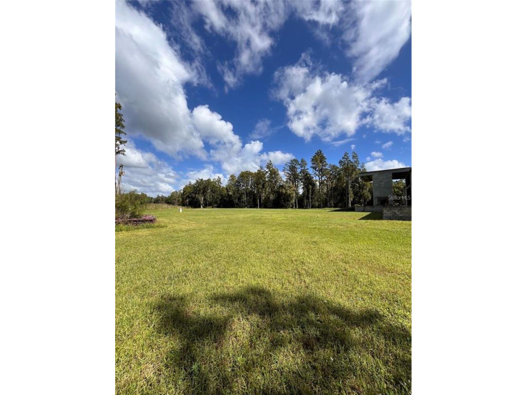 1029 Van Dyke Road Lutz FL 33548 - LAKE REINHEIMER TB8460037 image7