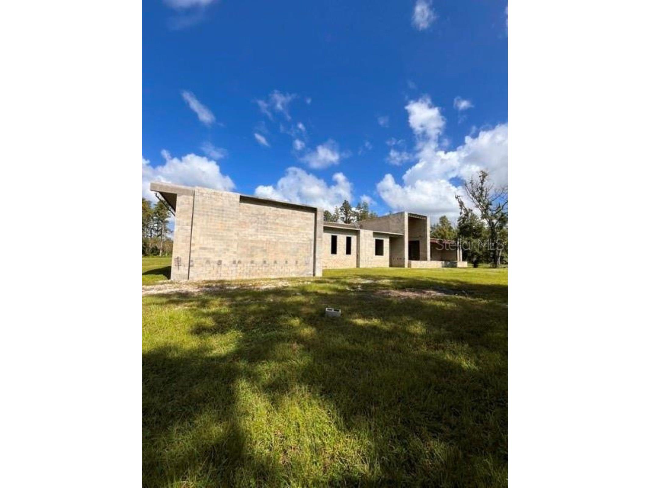 1029 Van Dyke Road Lutz FL 33548 - LAKE REINHEIMER TB8460037 image9